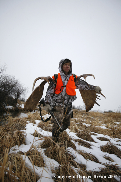 Moose hunter in field