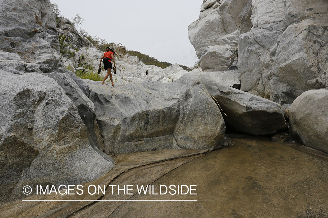 Woman exploring an arroyo in Baja Peninsula, Mexico.