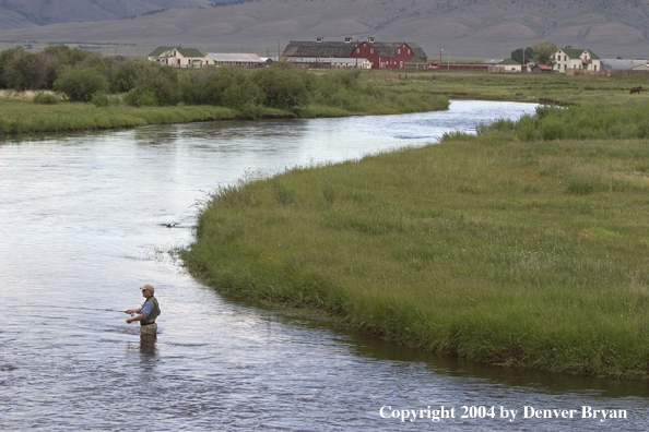 Flyfisherman on river.