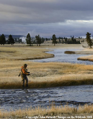 Flyfishing on Nez Perce Creek