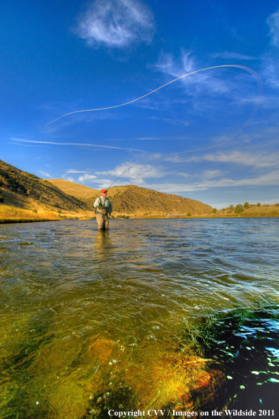 Flyfisherman casting. 