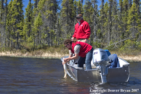 Guide (in boat) releasing lake trout for flyfisherman.