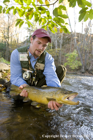 Close-up of nice brown trout.