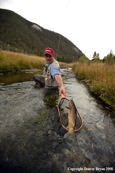 Flyfisherman Landing Cutthroat Trout