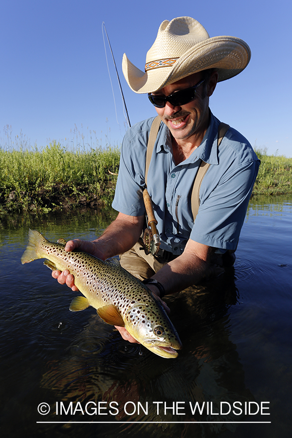 Flyfisherman releasing brown trout.