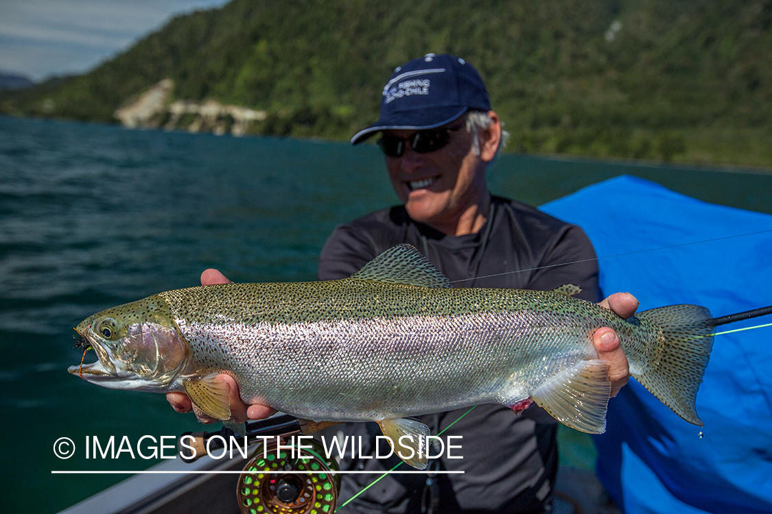 Flyfisherman with rainbow trout.