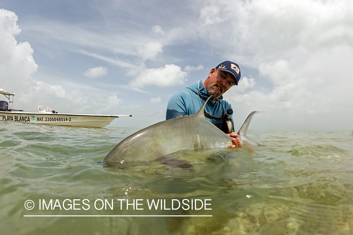 Flyfisherman releasing Permit.