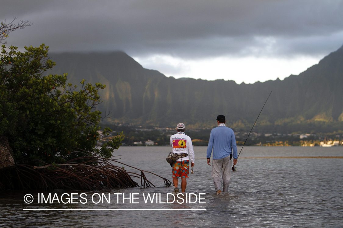 Saltwater flyfishermen fishing on flats, in Hawaii.