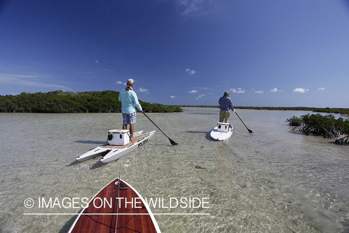 Saltwater flyfishermen on stand up paddle boards.