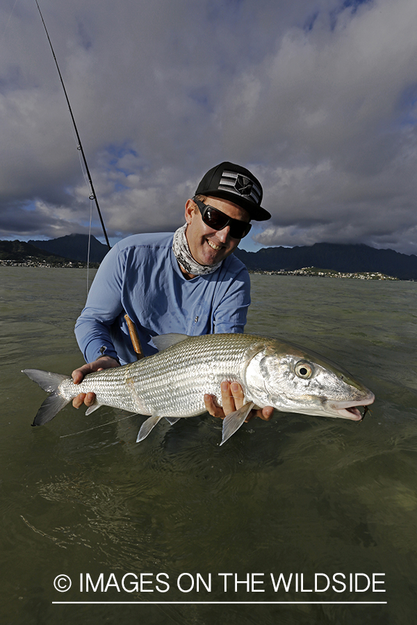 Saltwater flyfisherman with 13 lb bonefish, in Hawaii.