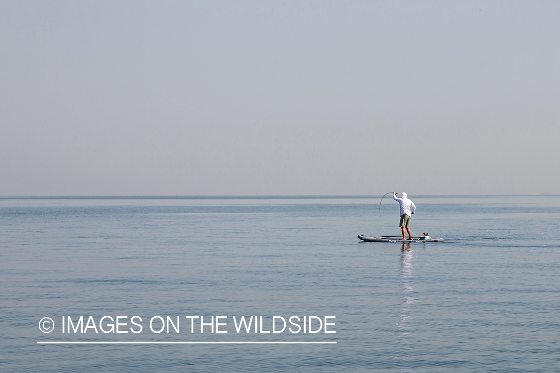 Flyfishing for queenfish off the coast of Dubai, UAE.