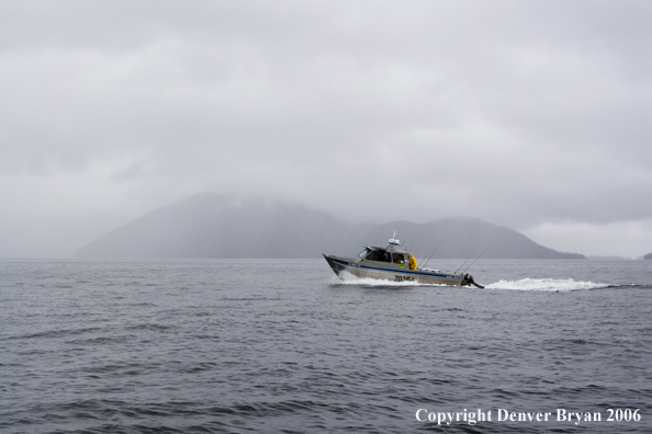 Fishermen deepsea fishing.  (Alaska/Canada)