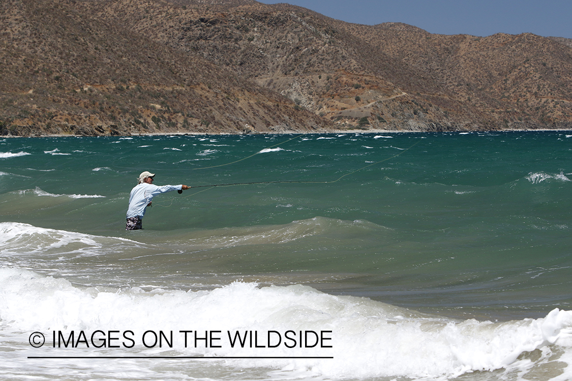 Flyfisherman fishing for roosterfish on beach.