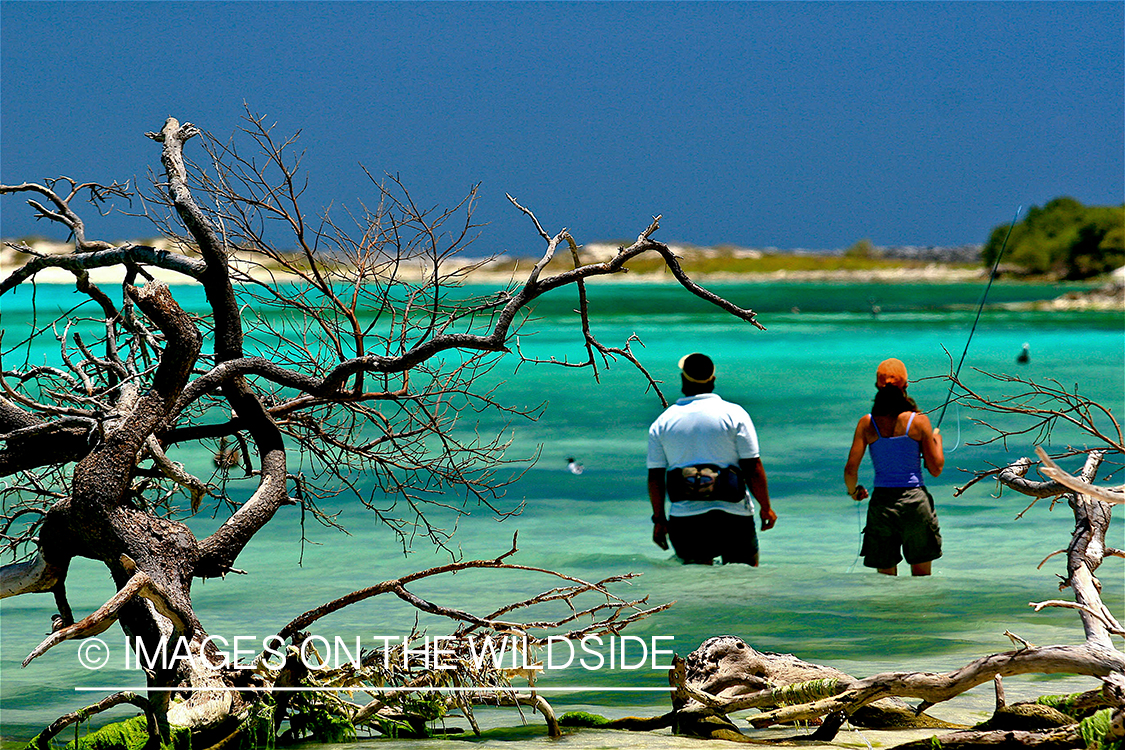 Fly Fisherwoman fishing saltwater.