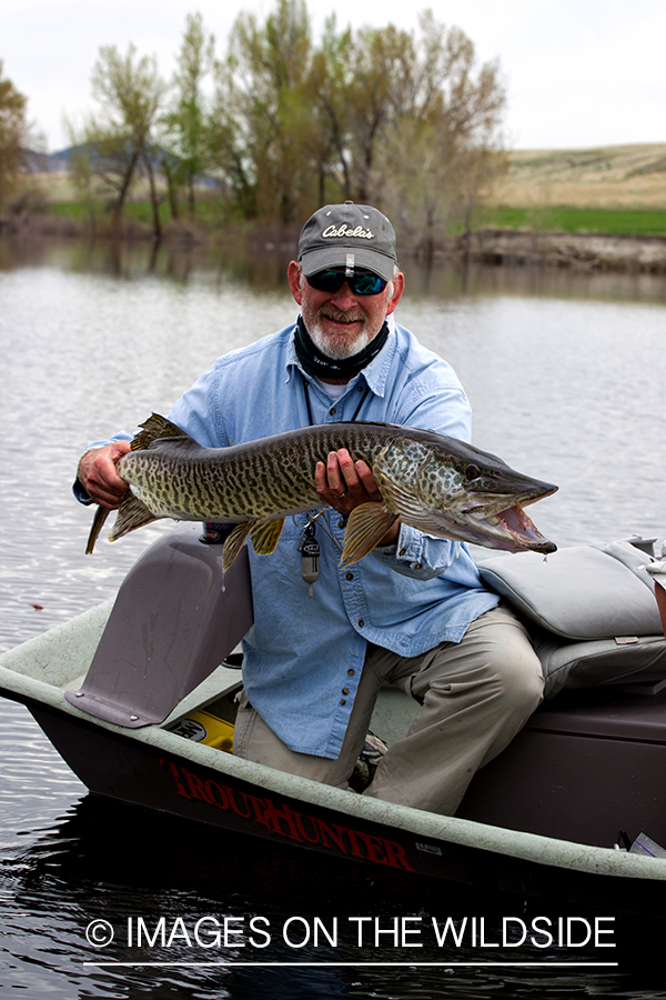 Flyfisherman with tiger muskie.