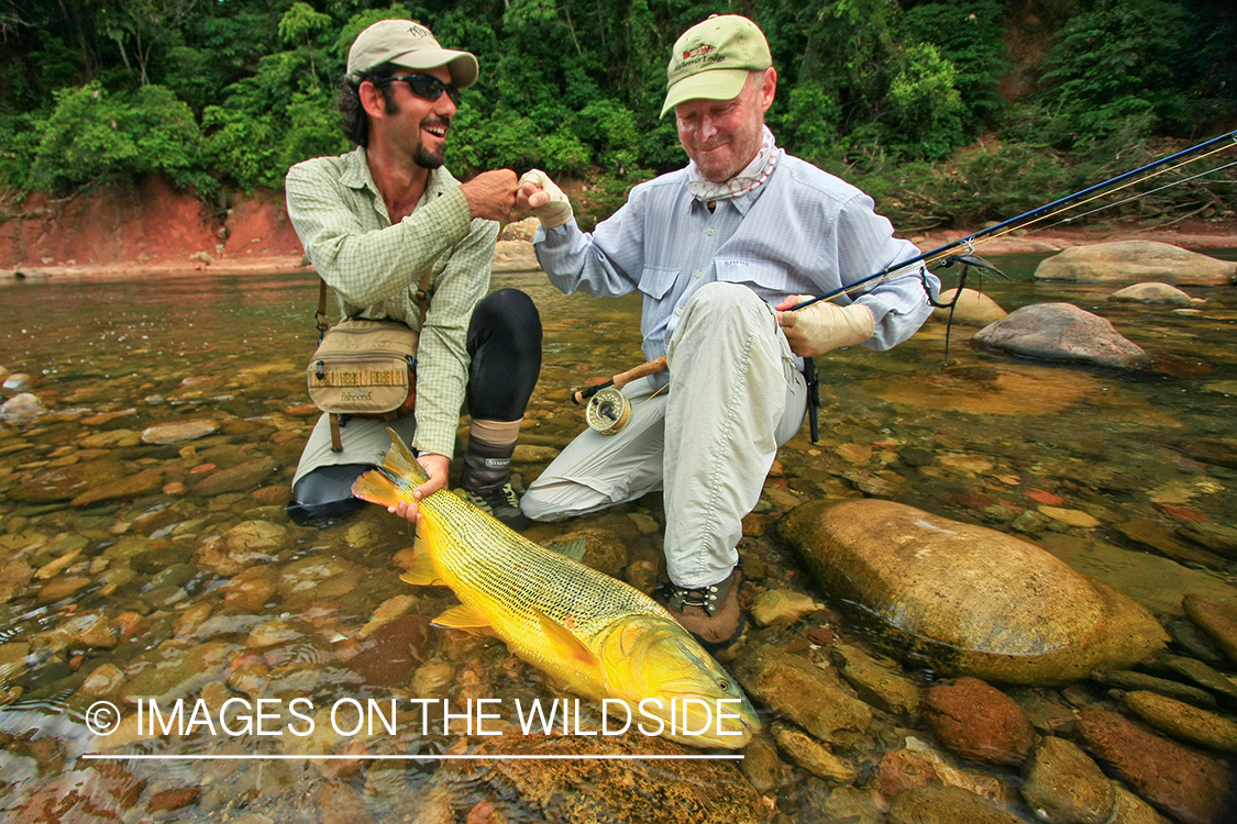 Fly Fishermen with Golden Dorado.