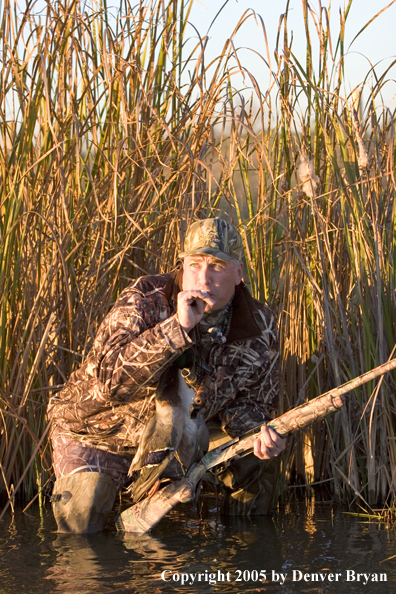 Duck hunter calling ducks from edge of marsh.