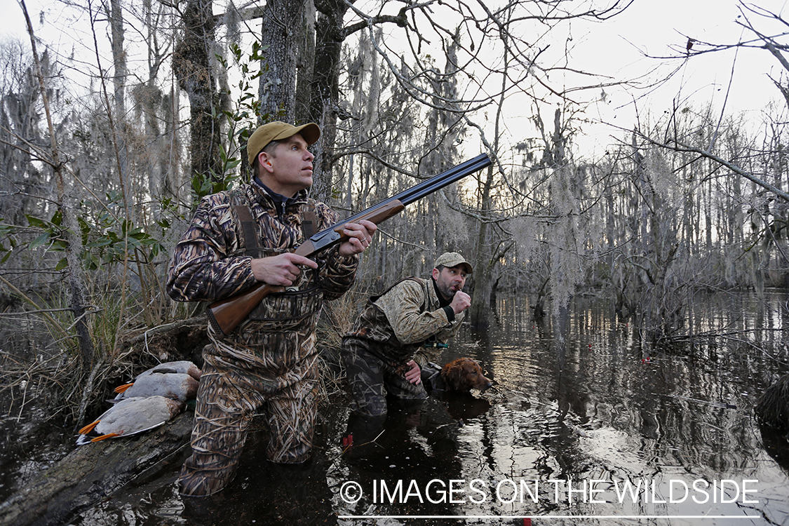 Waterfowl hunters calling ducks in southern wetlands. 