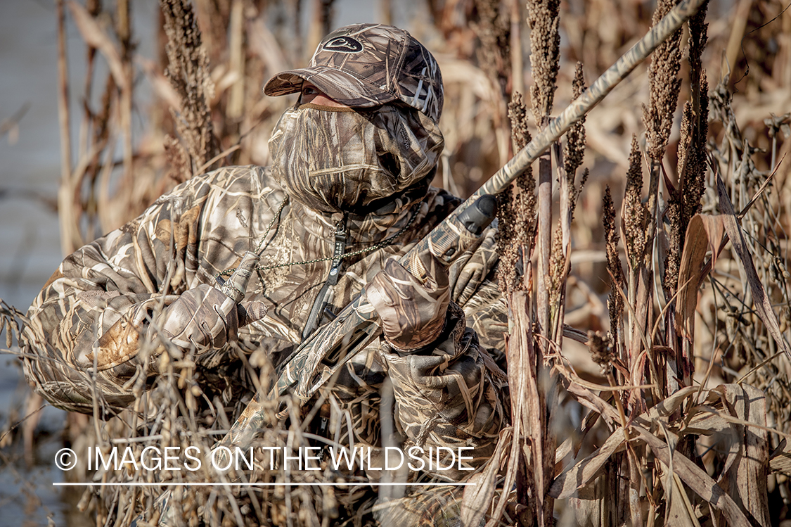 Waterfowl hunter camouflaged in wetlands.