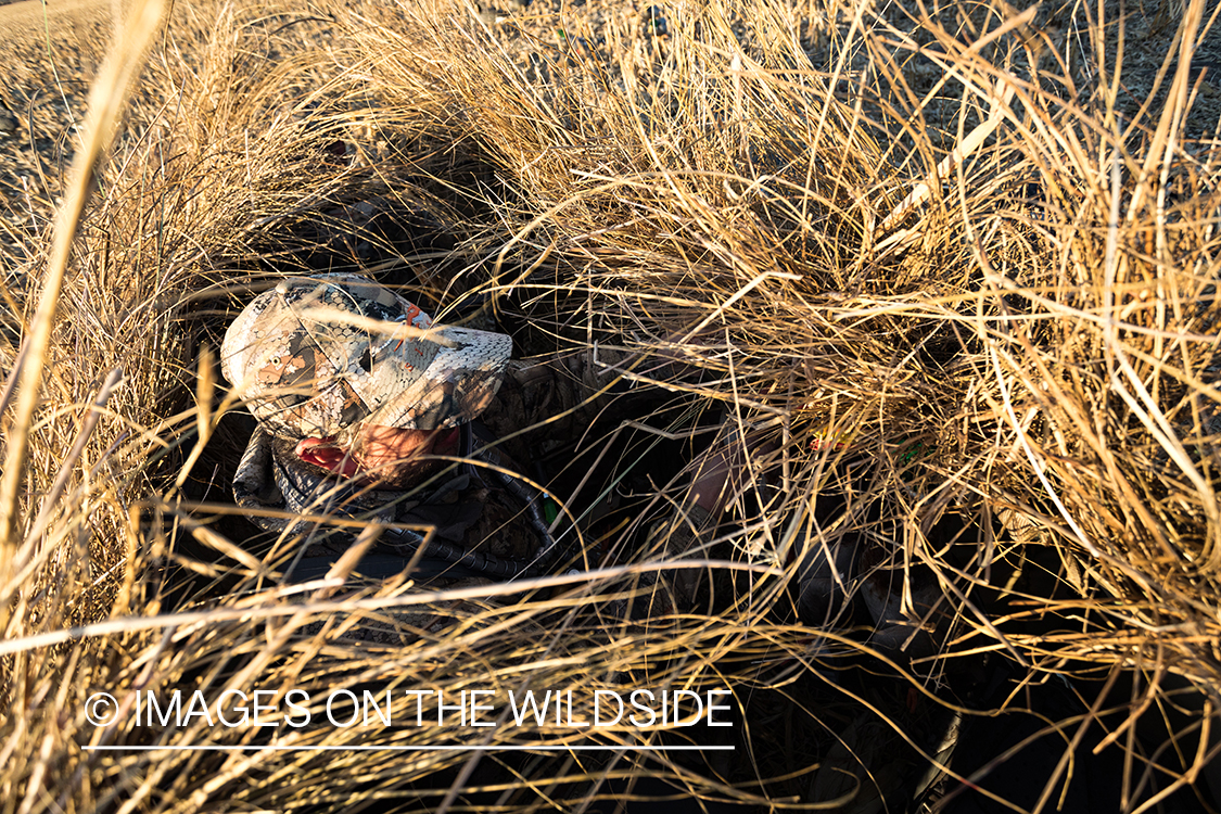 Waterfowl hunting