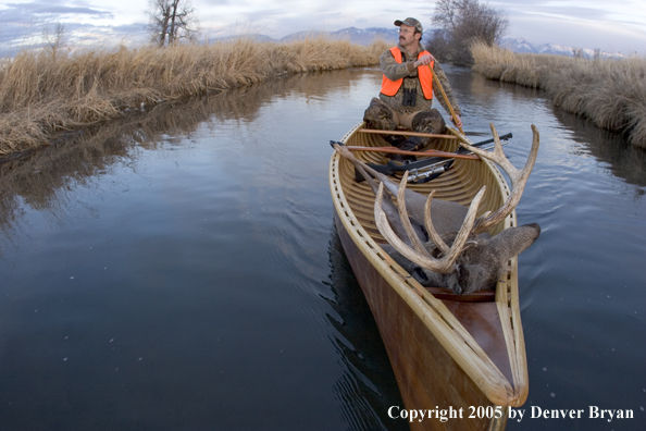 Big game hunter paddling canoe with bagged white-tail deer in bow