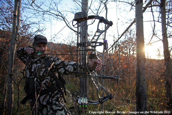 Bow hunter taking aim. 