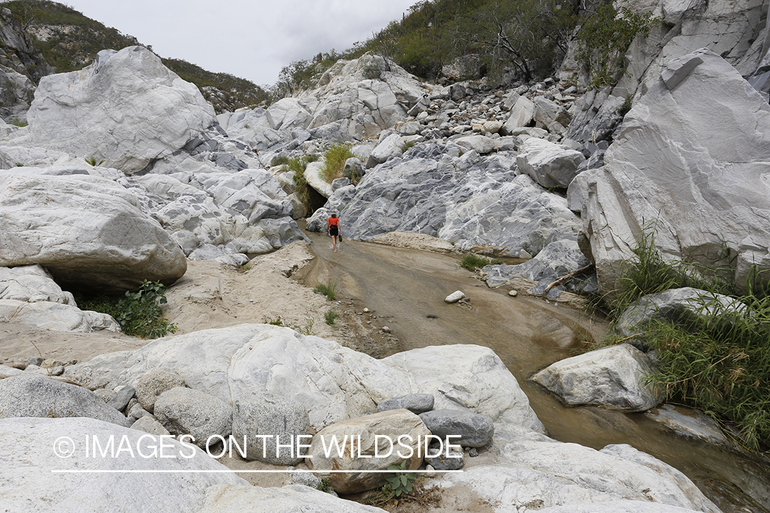 Woman exploring an arroyo in Baja Peninsula, Mexico.