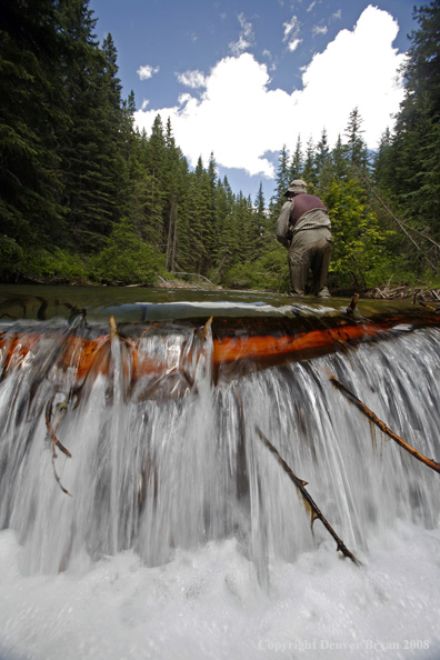 Flyfisherman standing above waterfall flyfishing