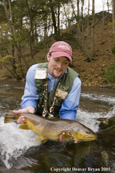 Close-up of nice brown trout.