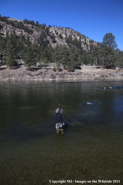 Flyfisherman fighting a nice rainbow trout.