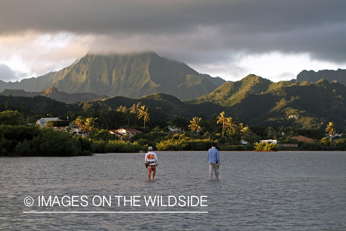 Saltwater flyfishermen fishing on flats, in Hawaii.