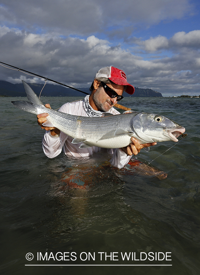 Saltwater flyfisherman with 13 lb bonefish, in Hawaii.