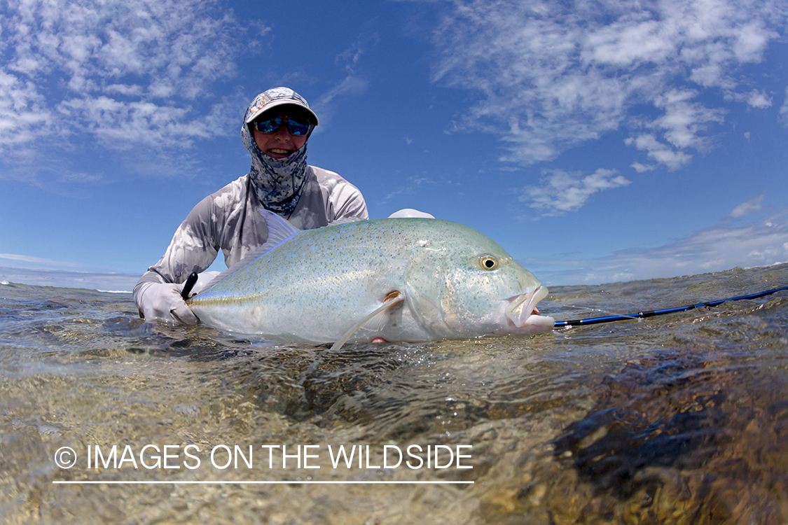 Flyfisherman with bluefin trevally.