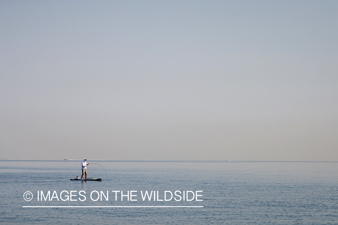 Flyfishing for queenfish off the coast of Dubai, UAE.