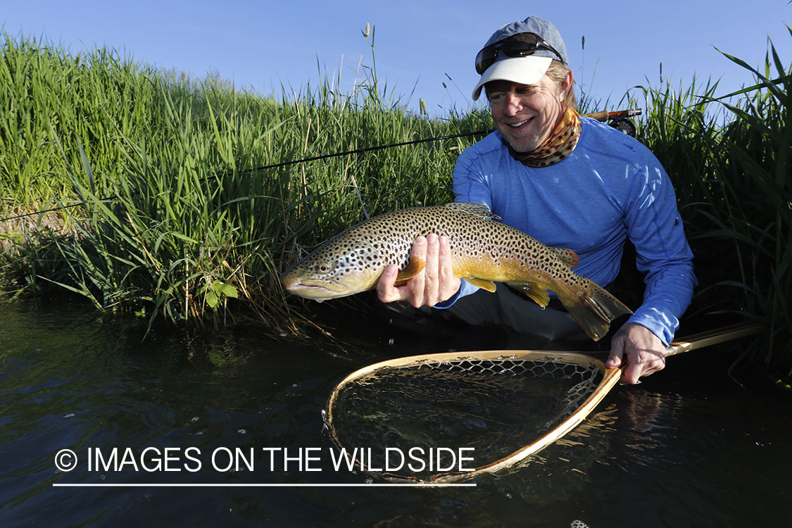 Flyfisherman with brown trout.