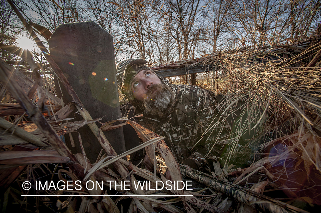 Waterfowl hunter camouflaged in wetlands.