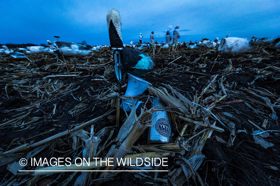 Hunter packing up after day of goose hunting.