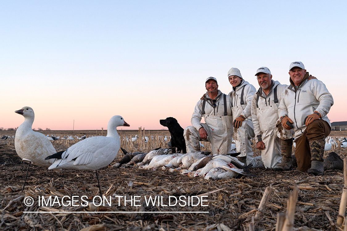 Hunters with bagged snow geese.