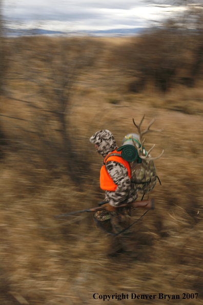 Mule deer hunter in field.