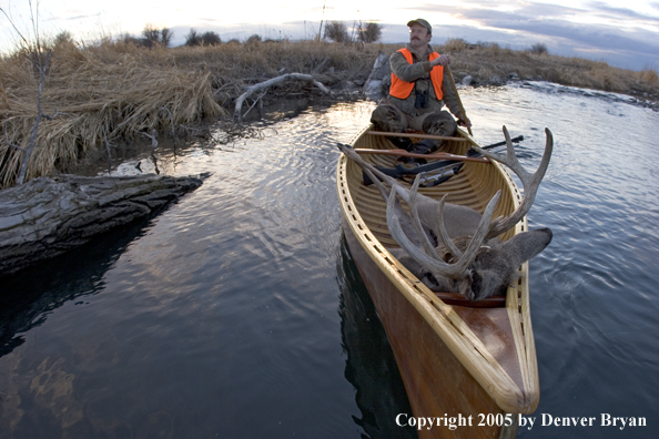 Big game hunter paddling canoe with bagged white-tail deer in bow