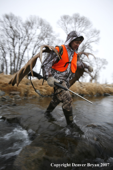 Moose hunter in field