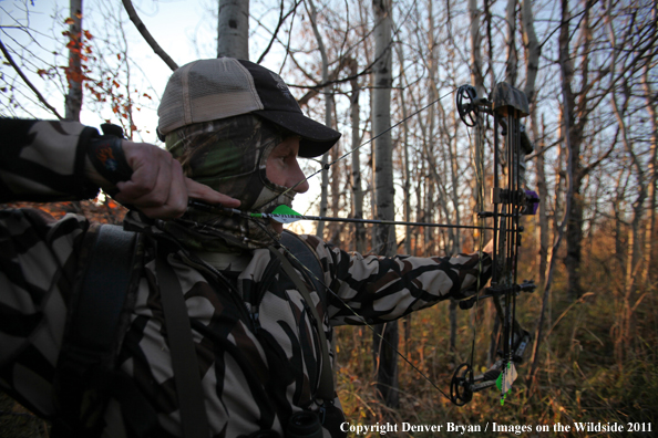 Bow hunter taking aim. 