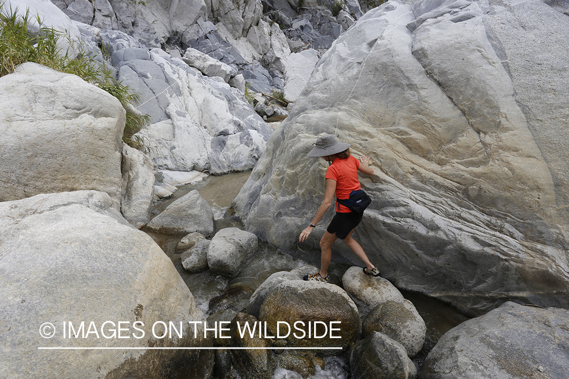 Woman exploring an arroyo in Baja Peninsula, Mexico.