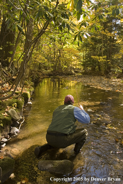 Flyfisherman on Pennsylvania spring creek.