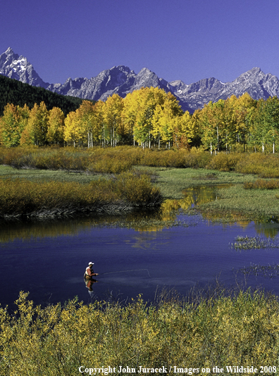 Flyfishing on Snake River in Wyoming