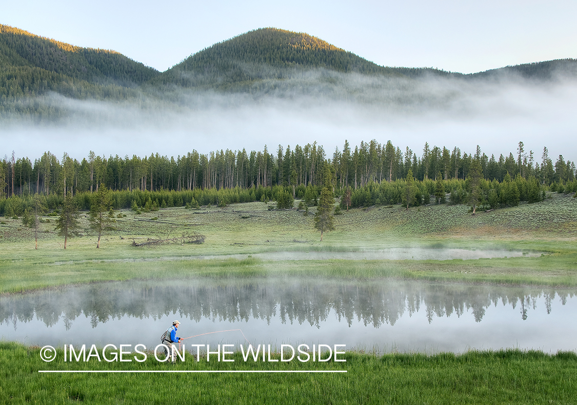 Flyfisherman on small pond in Yellowstone National Park. 