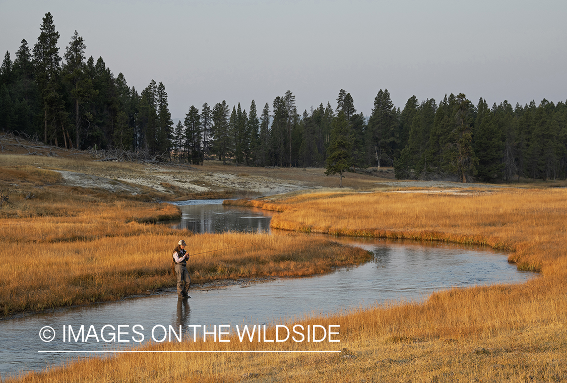 Flyfishing, Nez Perce Creek, Yellowstone National Park.