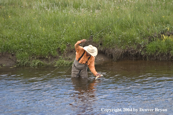 Flyfisherman with rainbow trout.