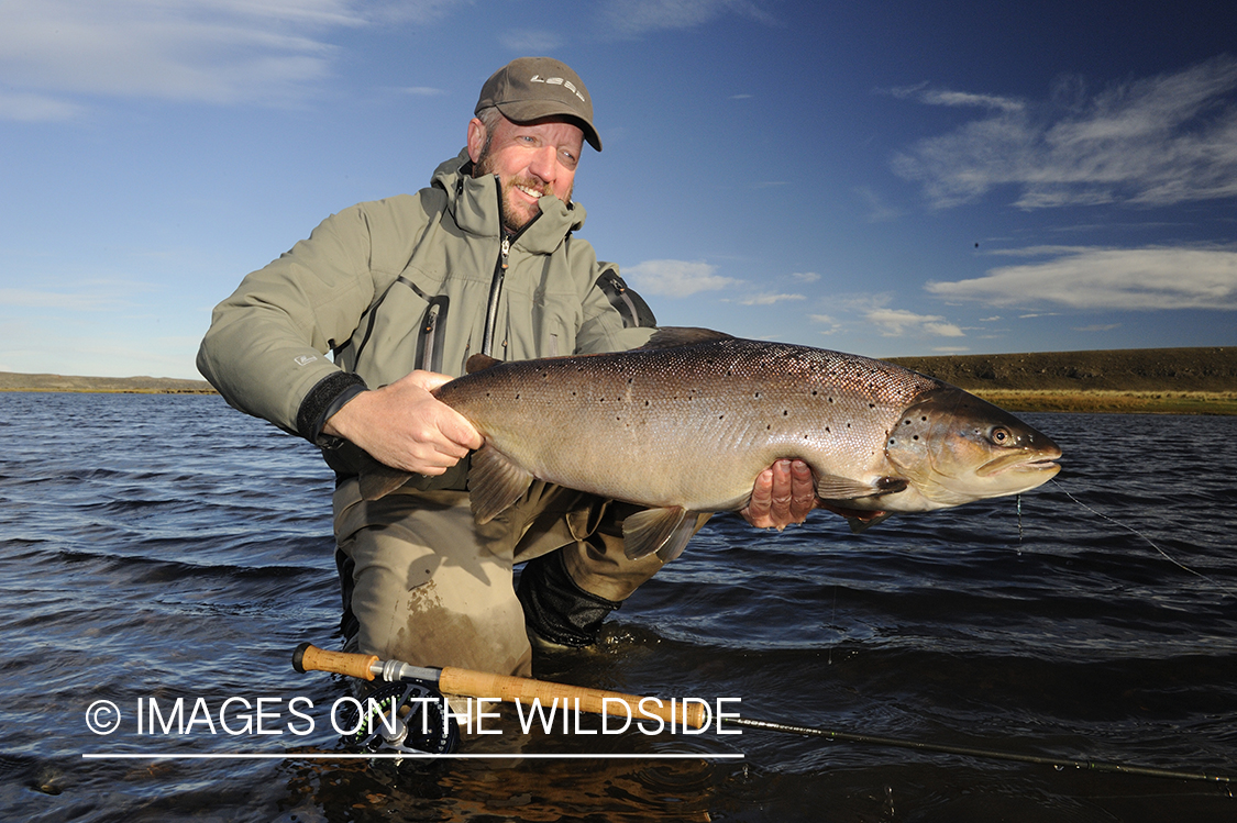 Flyfisherman with sea-run brown trout.