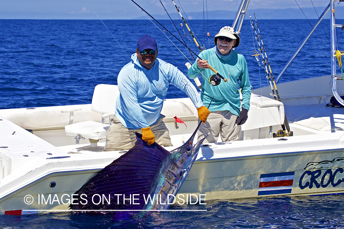 Flyfisherman landing Sailfish.